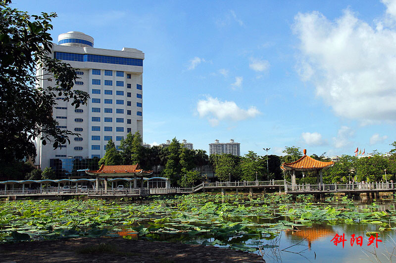 _MG_05912014--5.2_.jpg