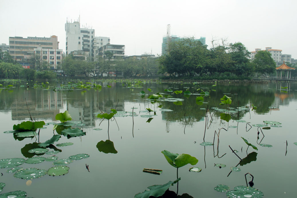 _MG_72732014--2--2-2.JPG