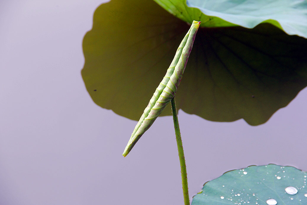 _MG_72822014--2--2-2.JPG