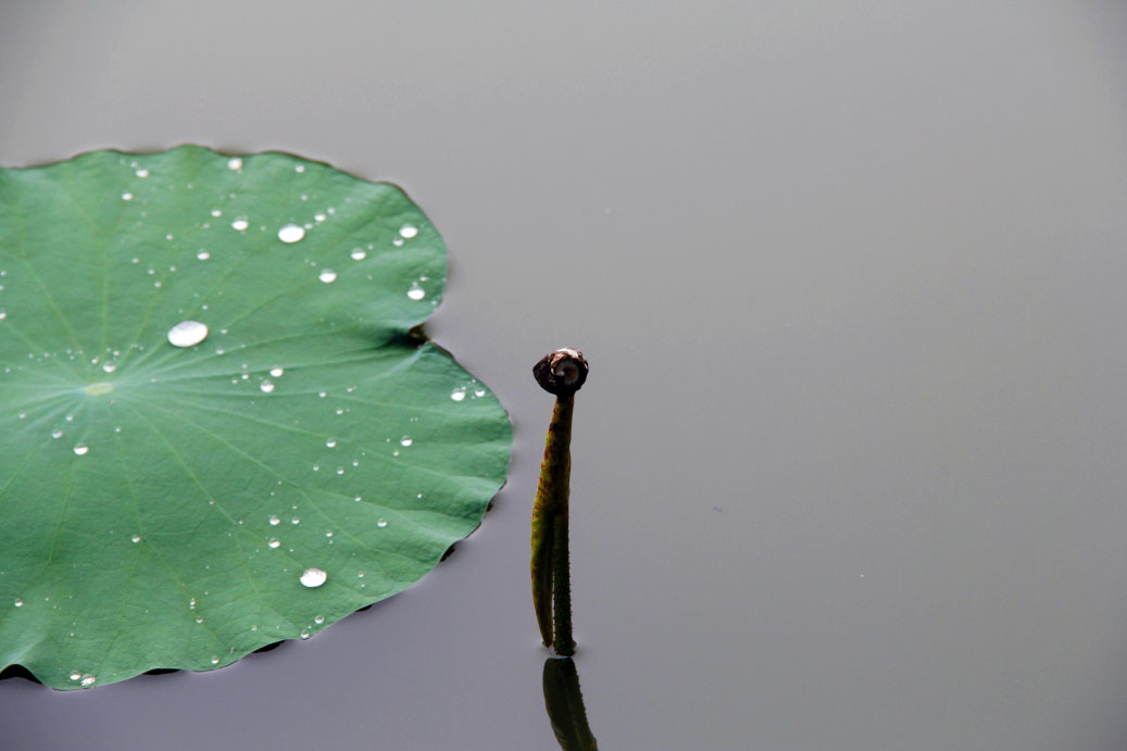 _MG_72832014--2--2-2.JPG