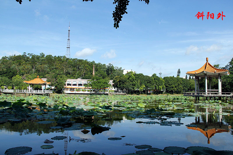 _MG_06192014--5.2_.jpg