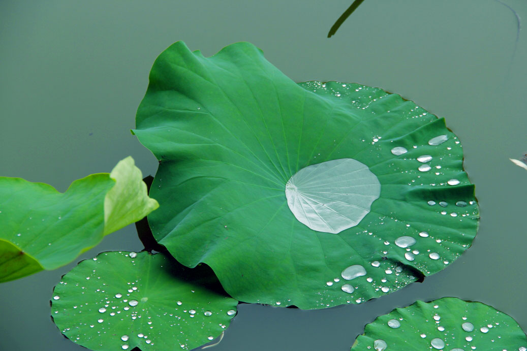 _MG_72712014--2--2-2.JPG