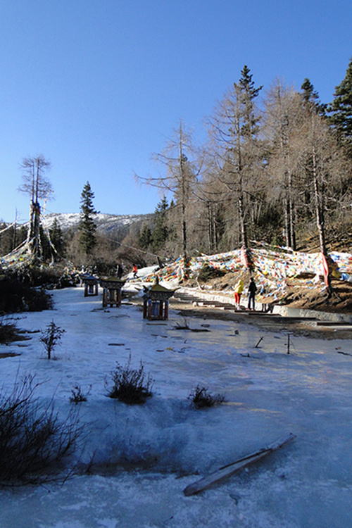 DSC08951___.jpg