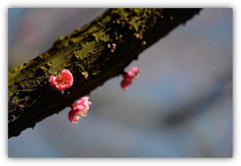 DSC_8943.jpg