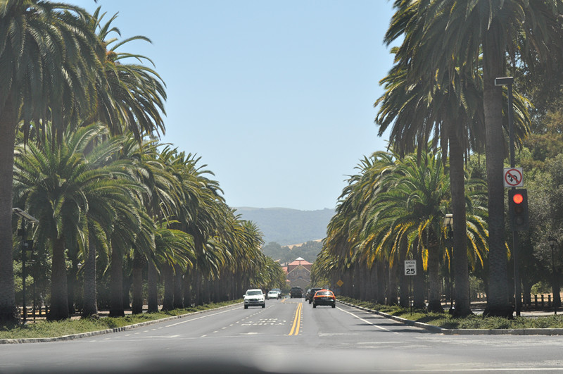 stanford trip 063_.jpg
