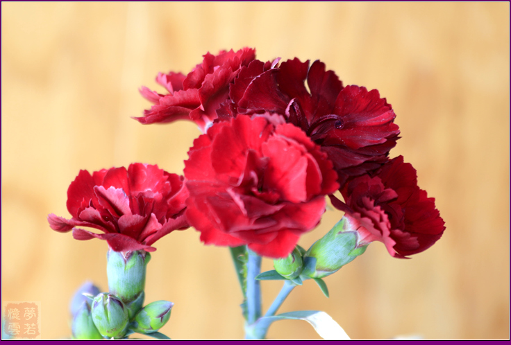 2014-05�� 004_����.jpg