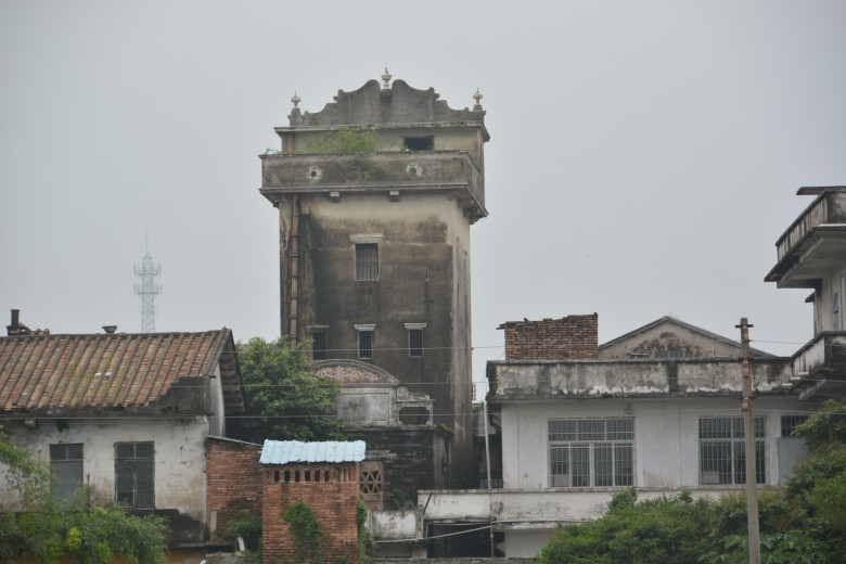 DSC_1340_conew1.jpg