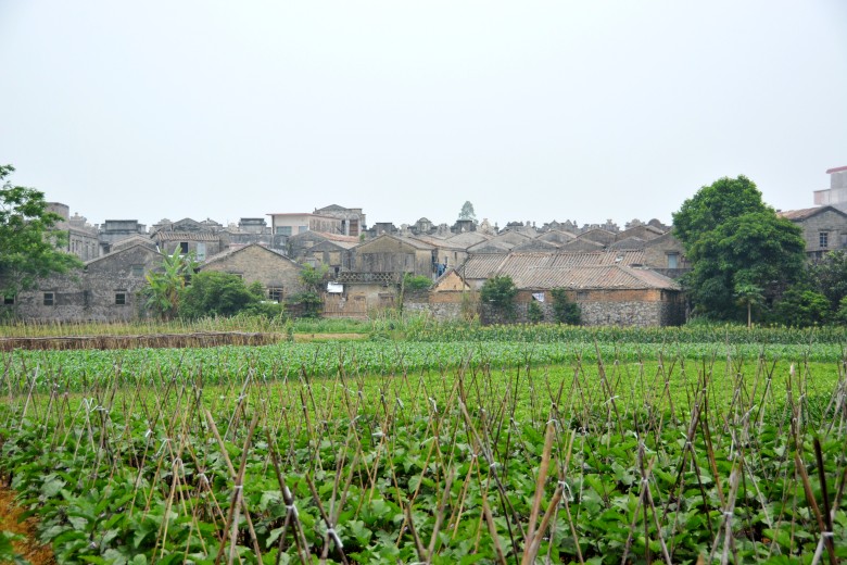 DSC_1320_conew1.jpg