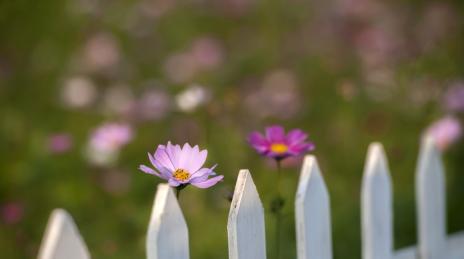 DSC_4780.jpg