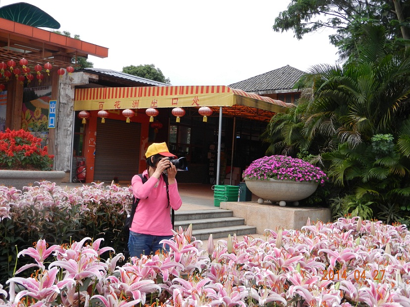 DSCN7041.jpg