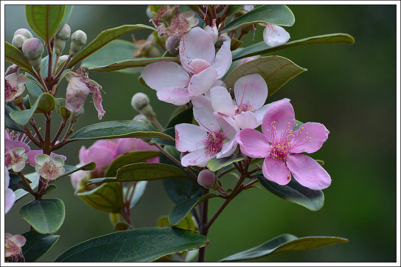 DSC_6418_1.JPG