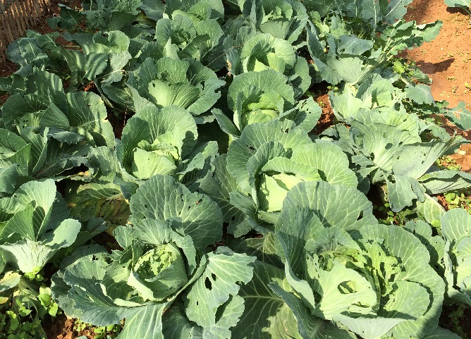 Trip to China2013 041.JPG