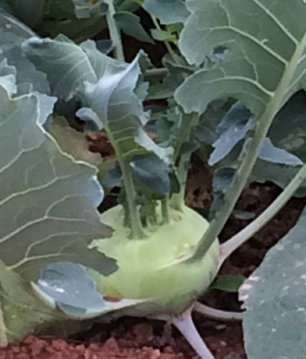 Trip to China2013 039.JPG