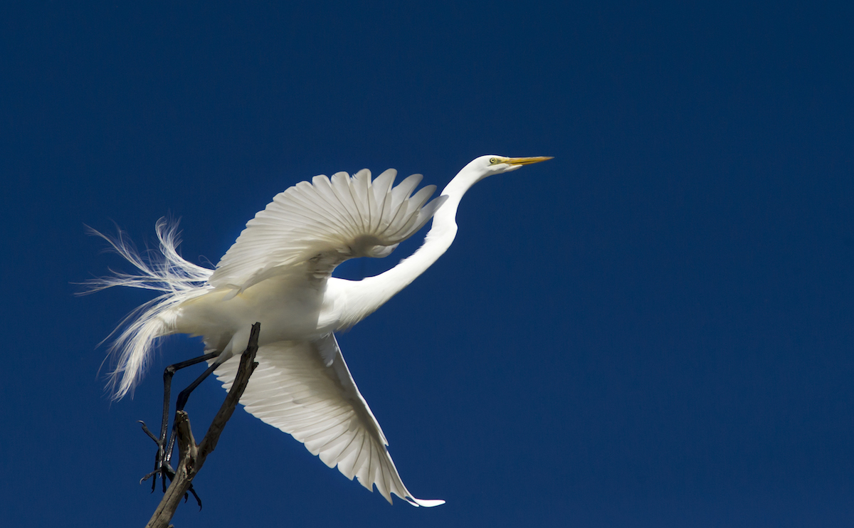 DSC_5044.jpg