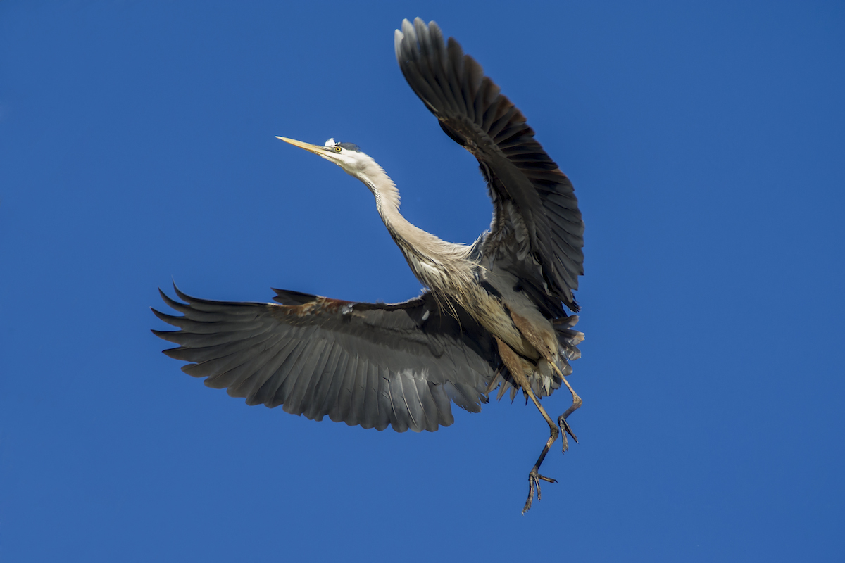 DSC_4585.jpg