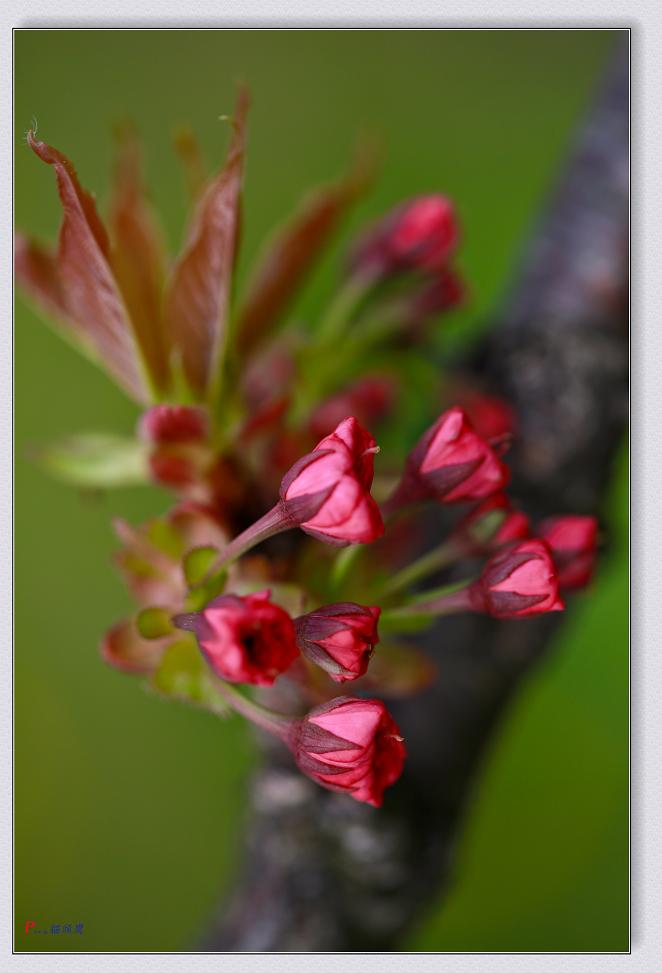 �}�u -05-02-2014--�~�s 023-2.jpg