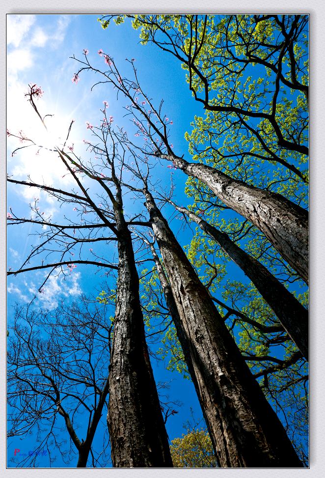 �}�u -05-03-2014--�~�s 261-2.jpg