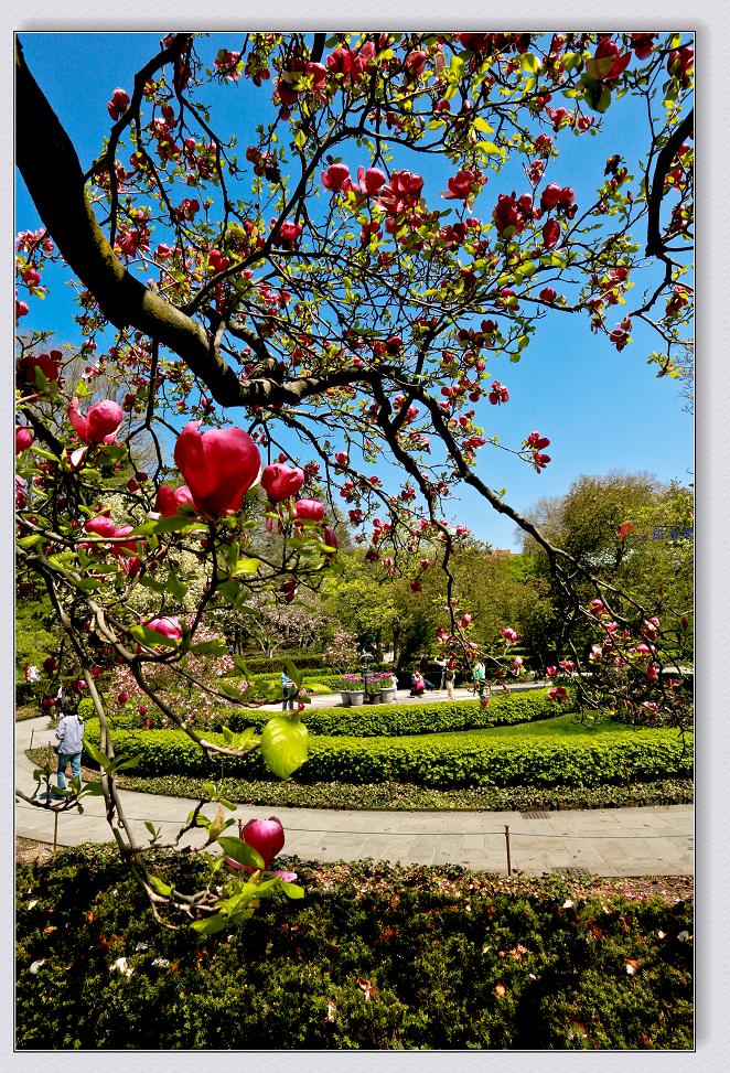 �}�u -05-03-2014--�~�s 287-2.jpg