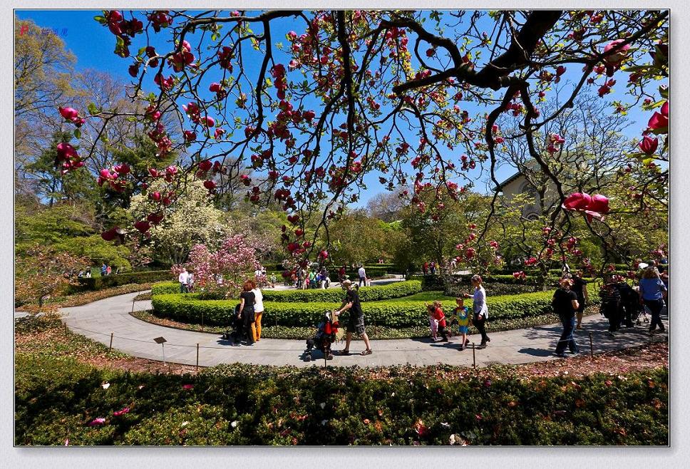 �}�u -05-03-2014--�~�s 224-2.jpg