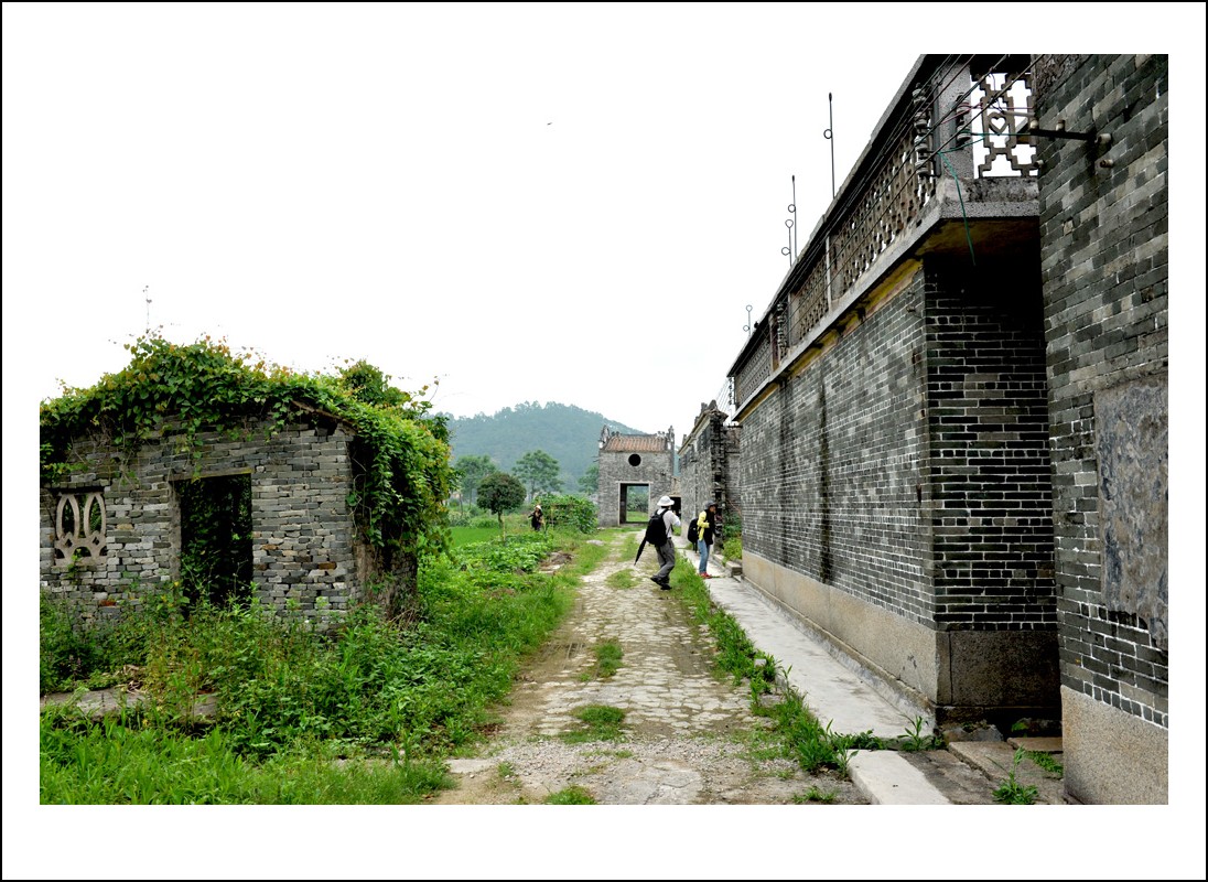 DSC_0281_conew1.jpg