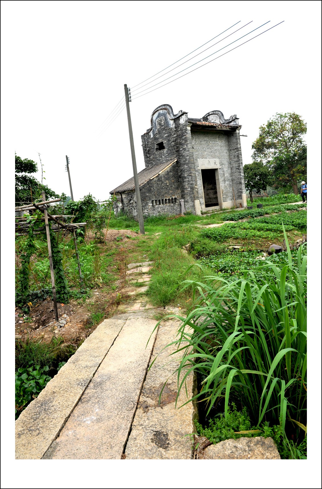 DSC_0279_conew1.jpg