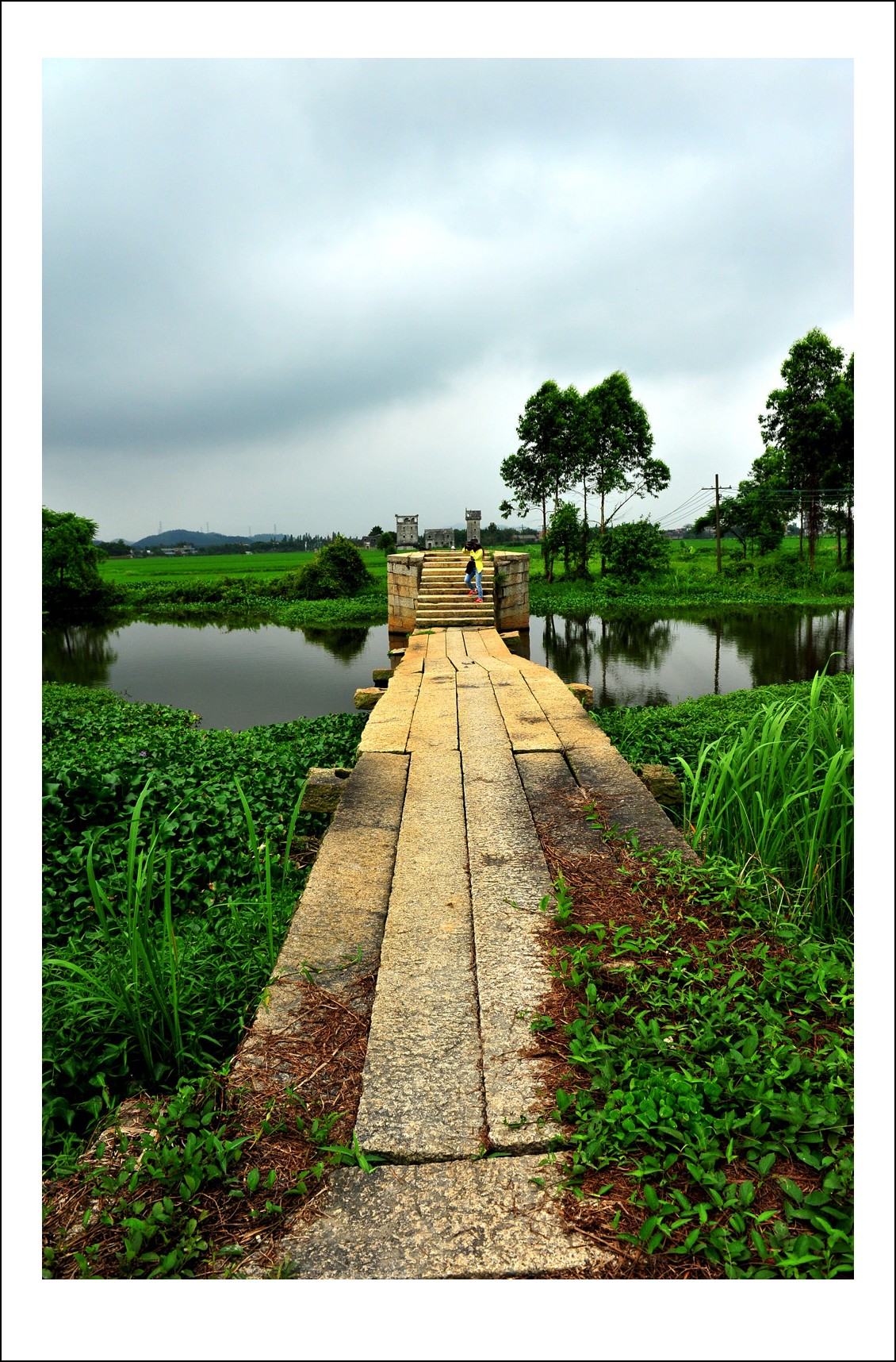 DSC_0418_conew1.jpg