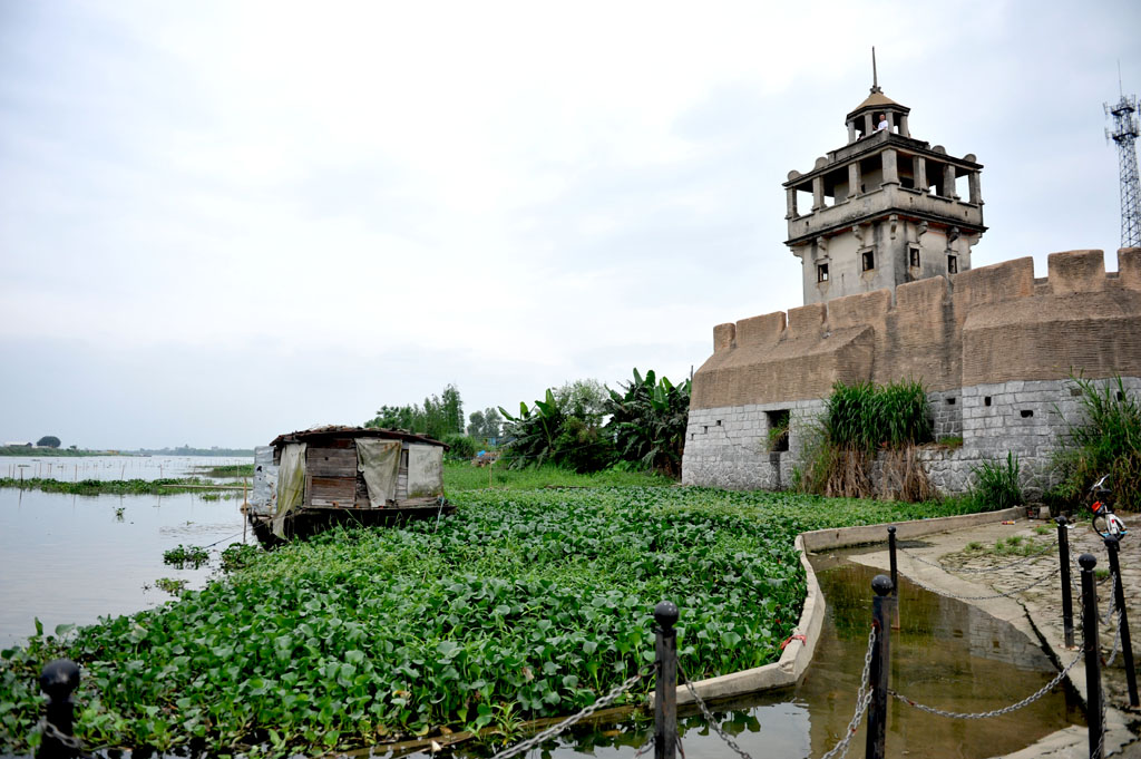 DSC_8212.JPG