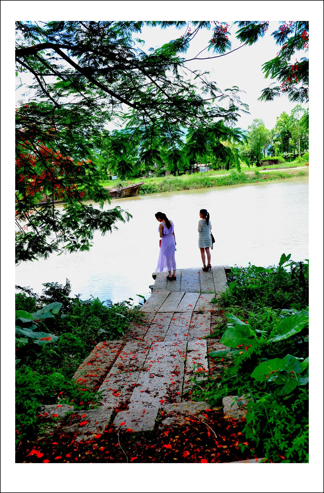 DSC_1421_conew1.jpg