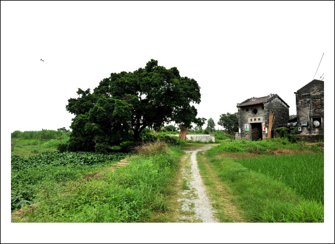 DSC_0341_conew1.jpg