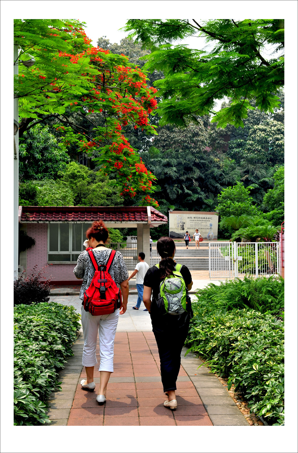 DSC_1102_conew1.jpg