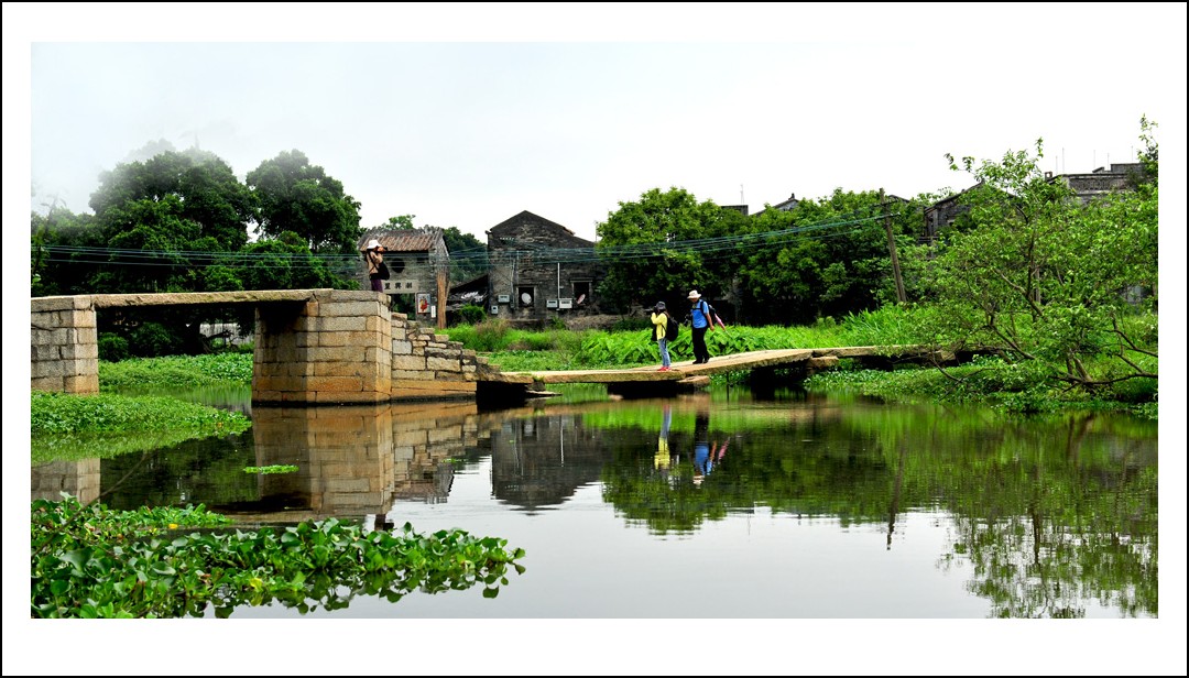 DSC_0403_conew1.jpg