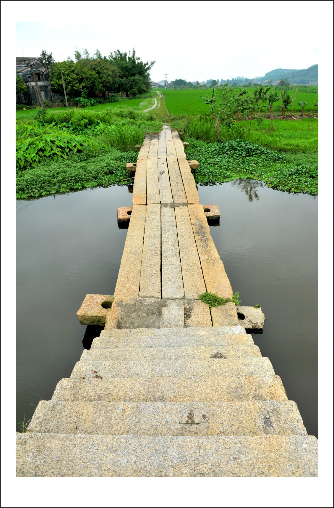 DSC_0295_conew1.jpg