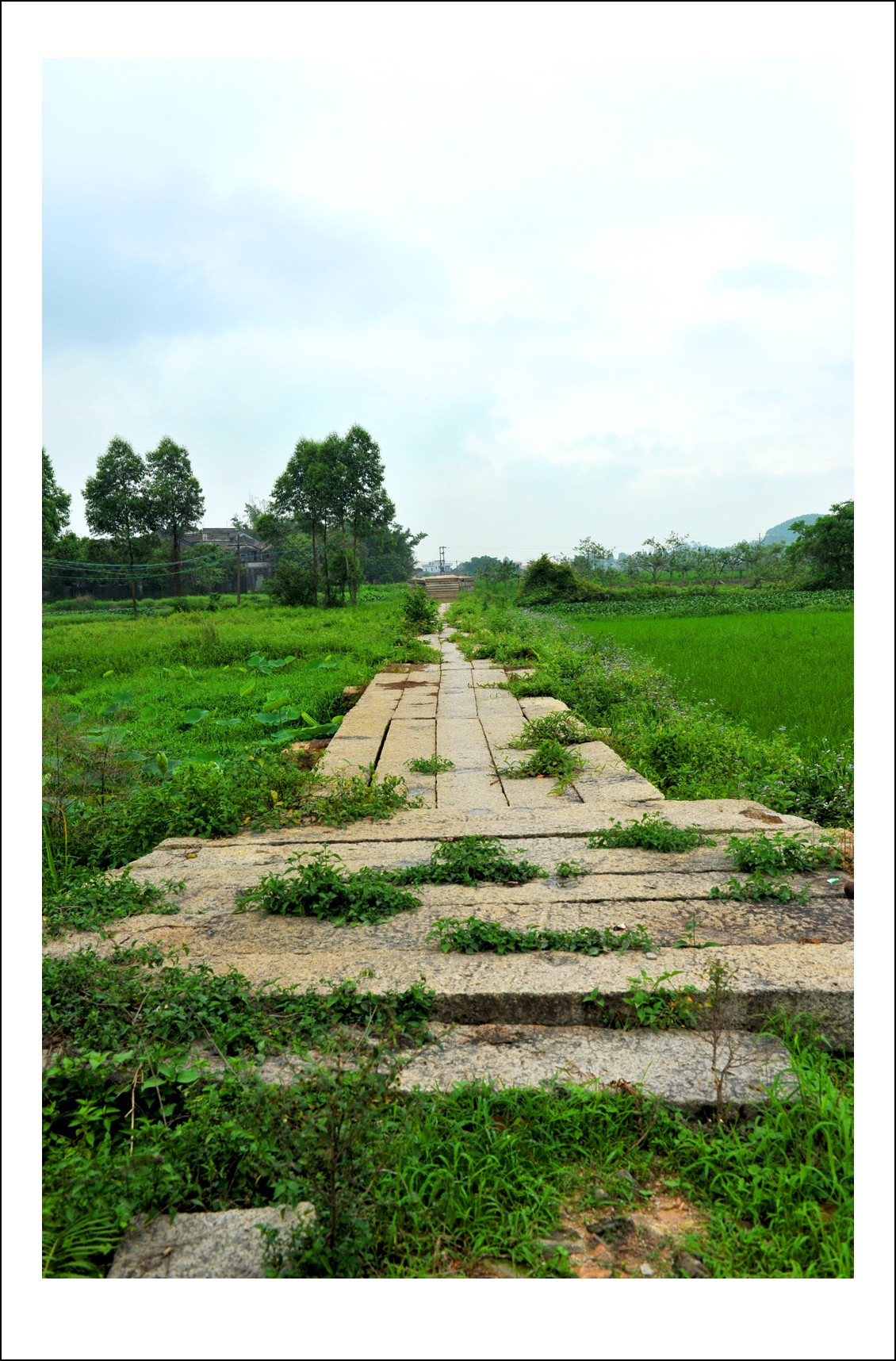 DSC_0294_conew1.jpg