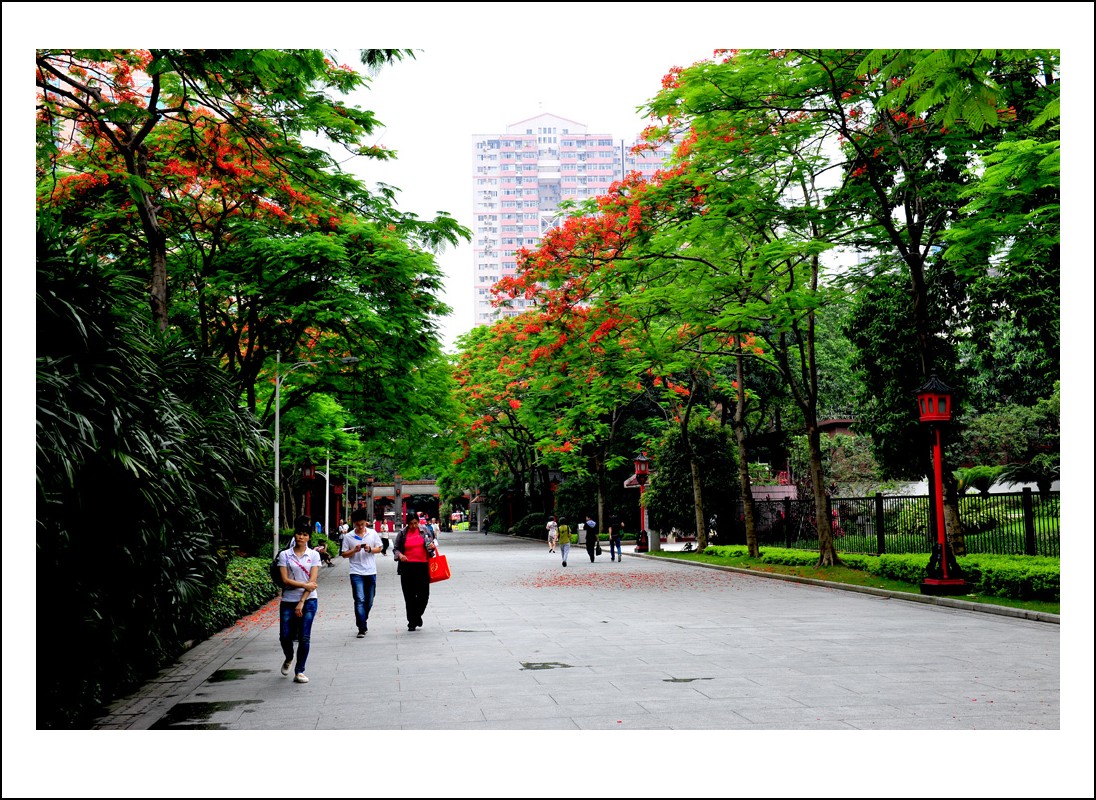 DSC_1059_conew1.jpg