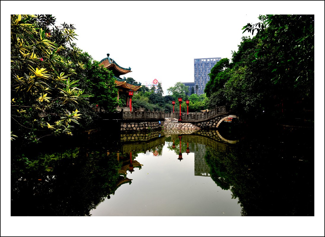 DSC_1060_conew1.jpg