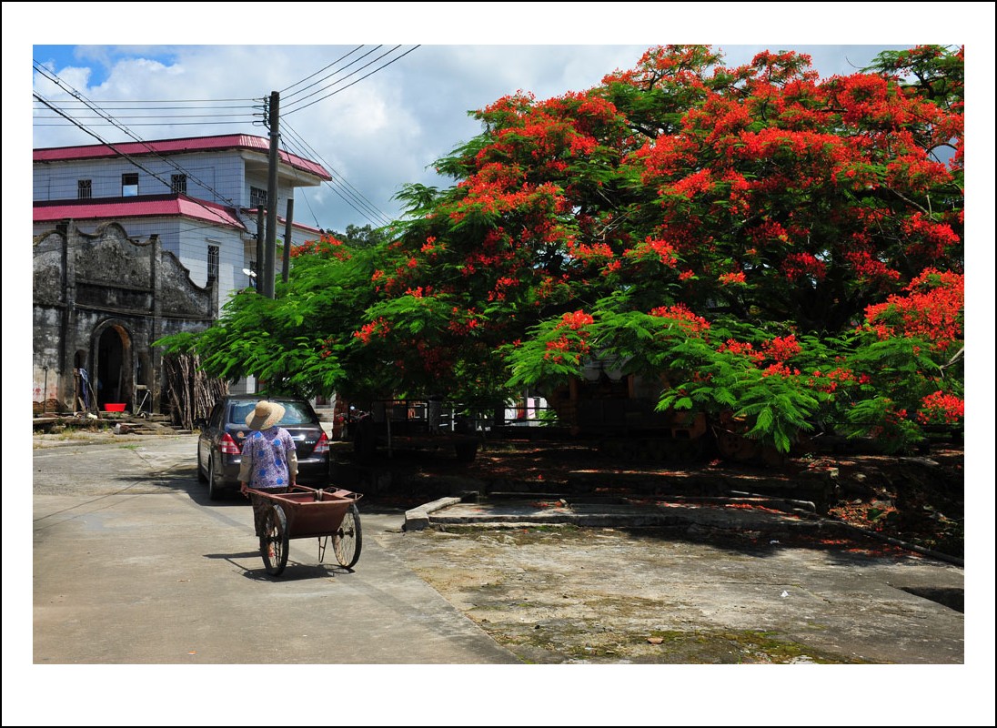 DSC_1391_conew1.jpg