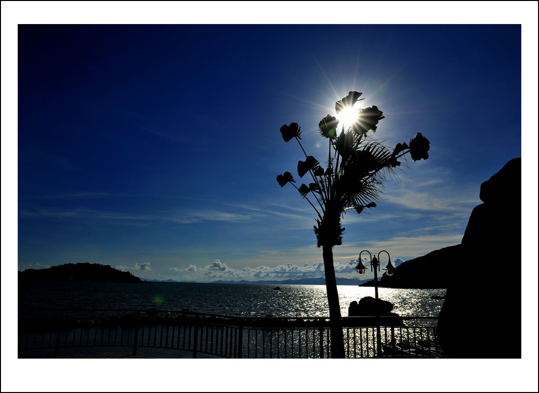DSC_1606_conew1.jpg