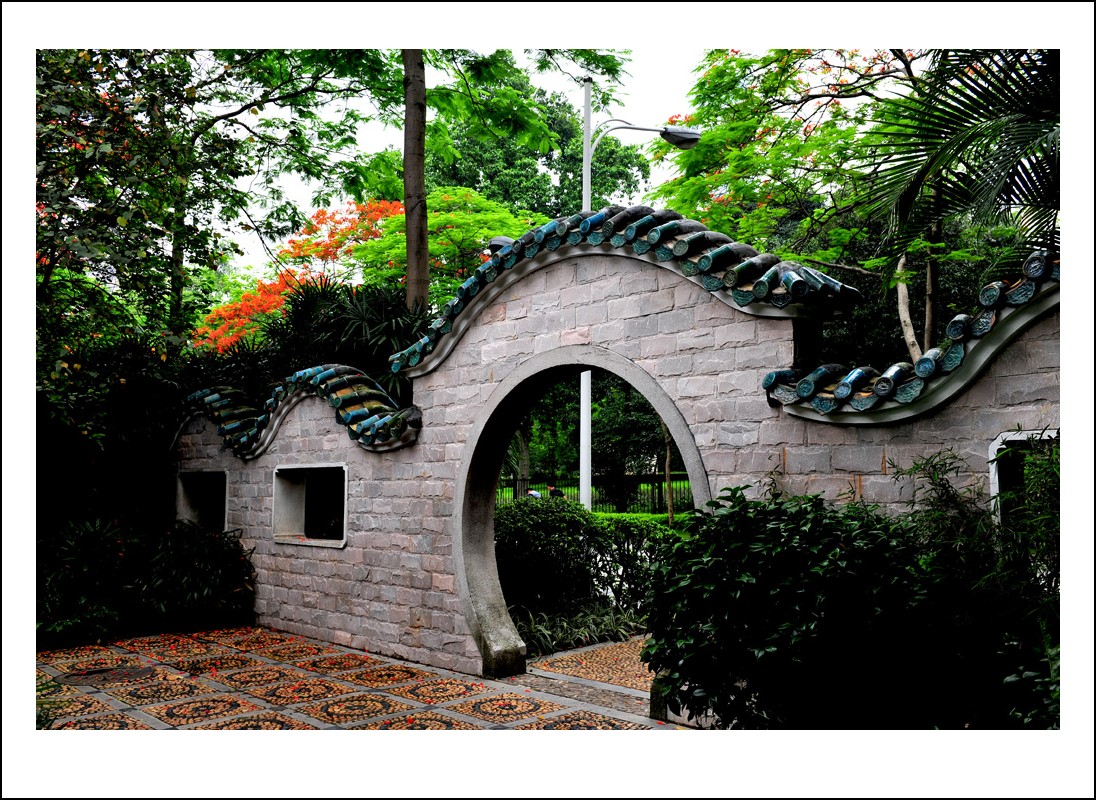 DSC_1058_conew1.jpg