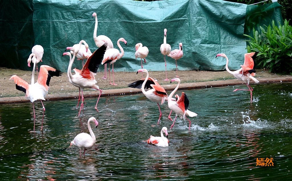 DSC_0647.JPG