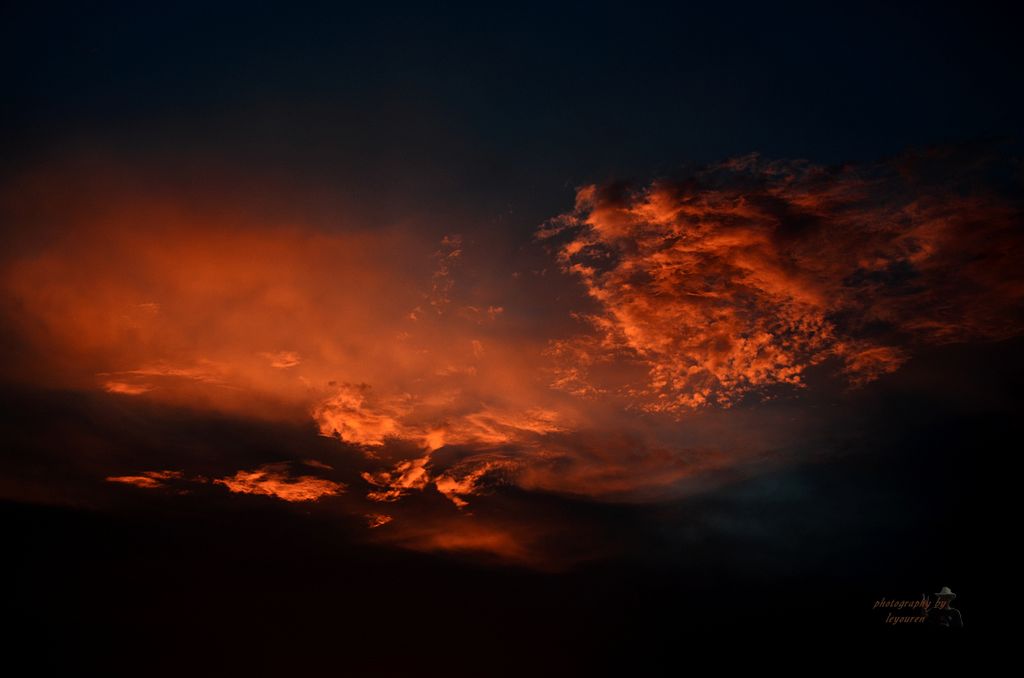 DSC_0914.JPG