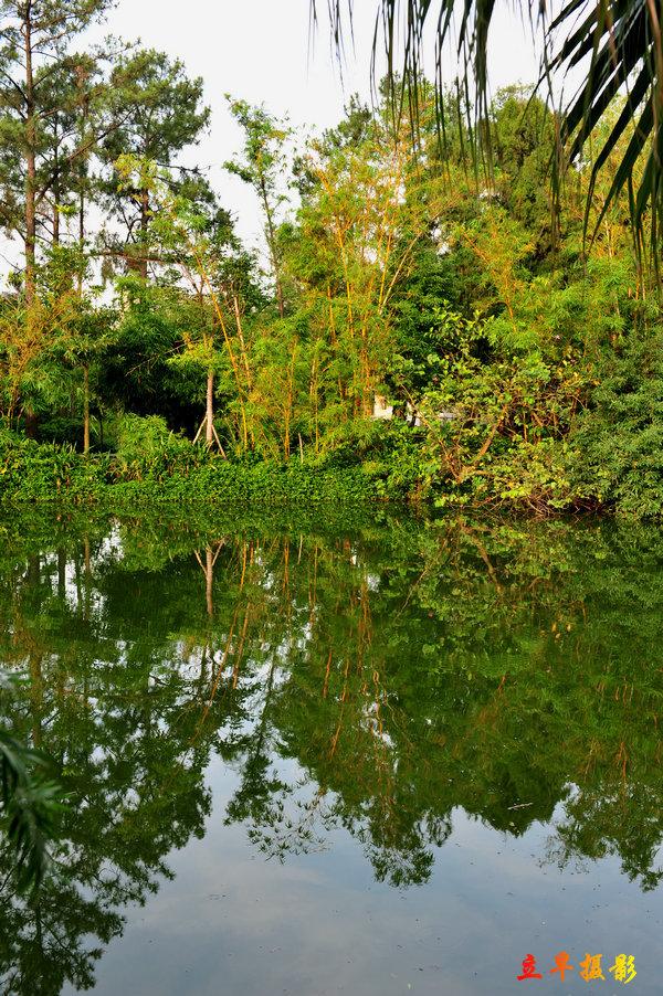DSC_3725.JPG