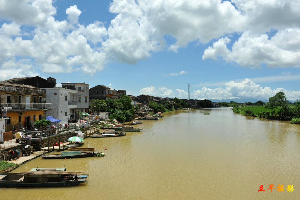 DSC_3981.jpg