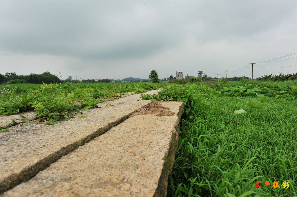 DSC_3570.jpg