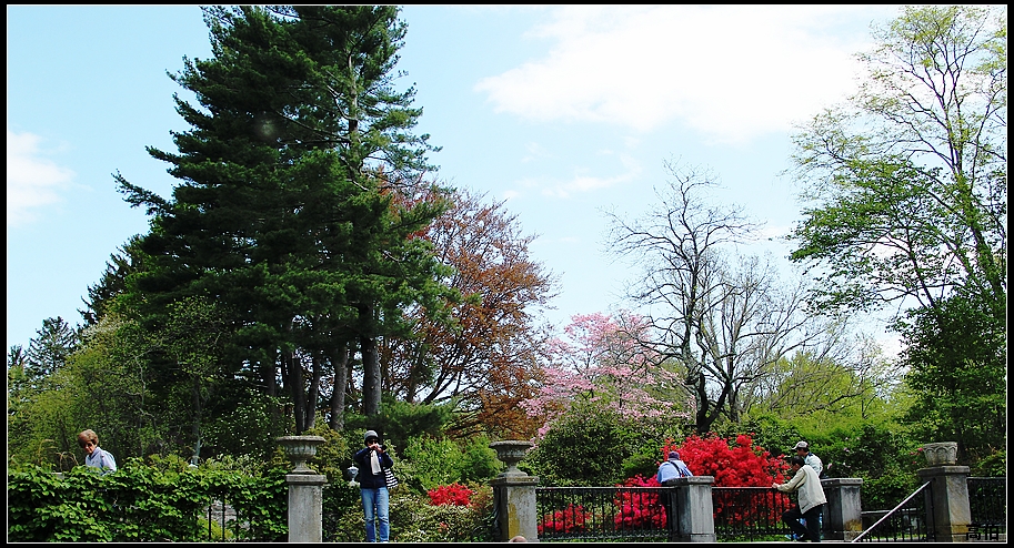 IMG_0023-3.jpg