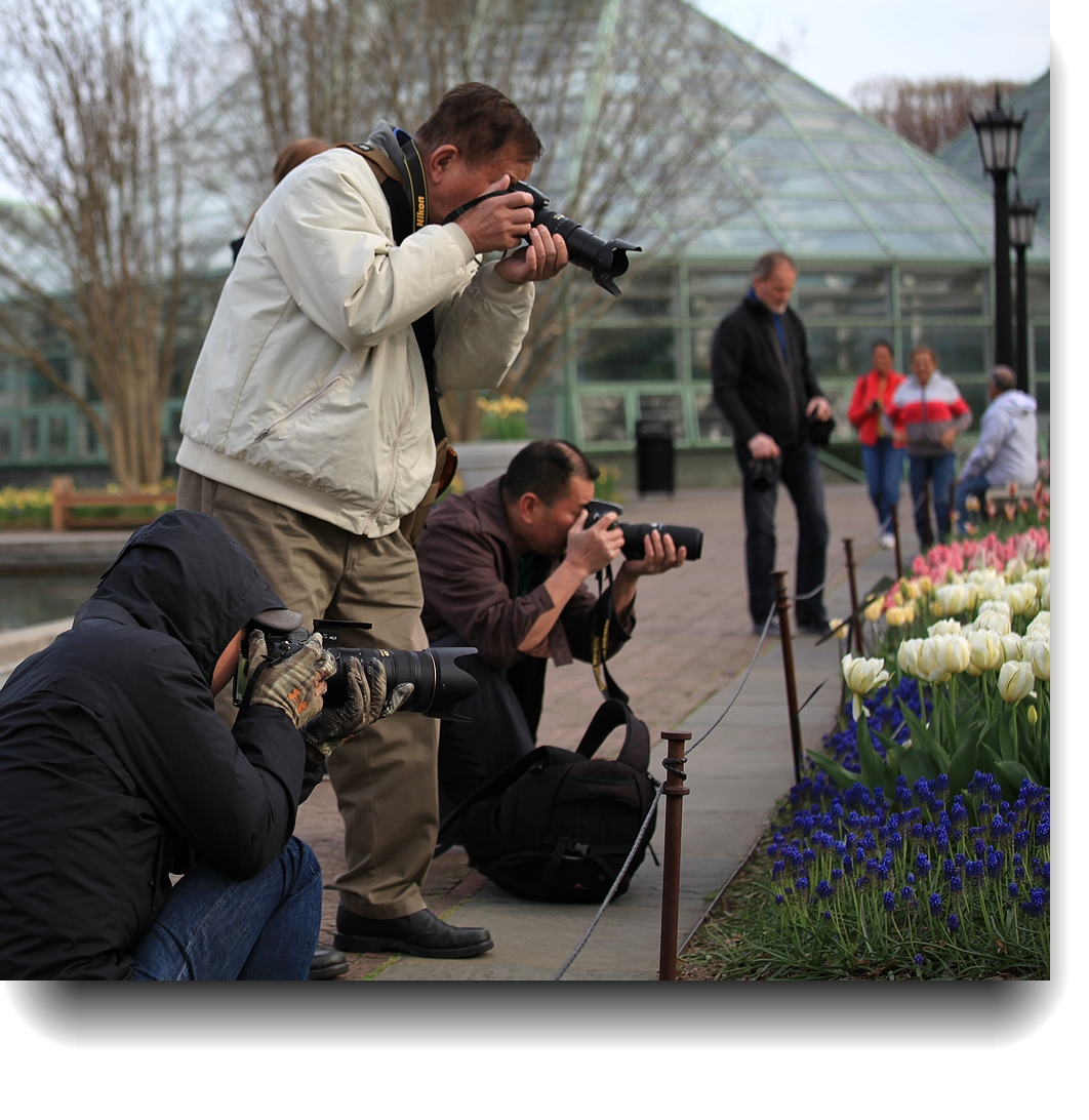 IMG_9603a.jpg