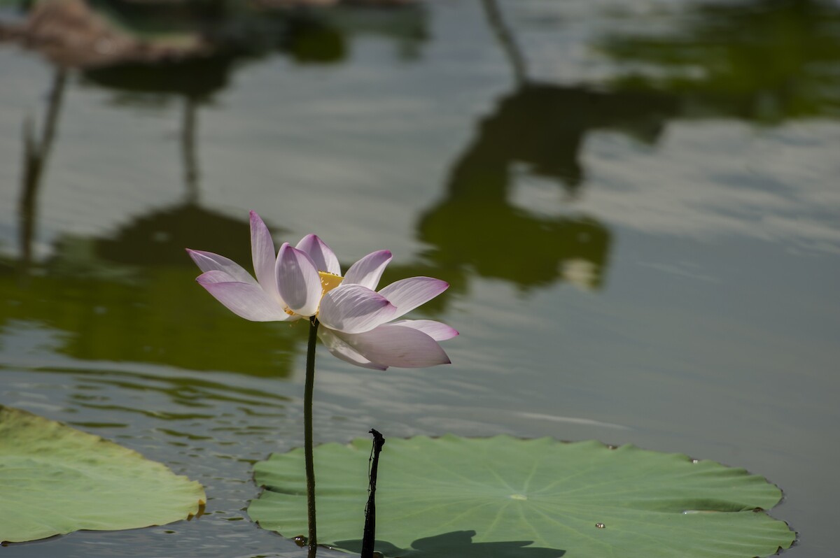 QQͼƬ20140526082047.jpg
