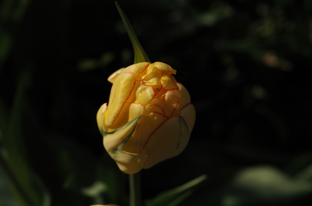 DP3M1107_dh.jpg