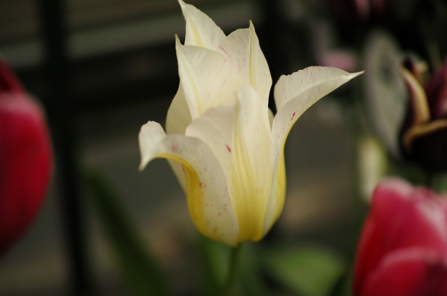 DP3M1154_dh.jpg
