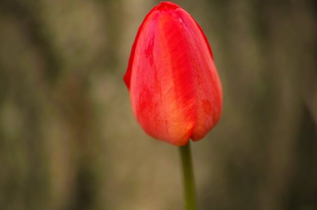 DP3M1135_dh.jpg