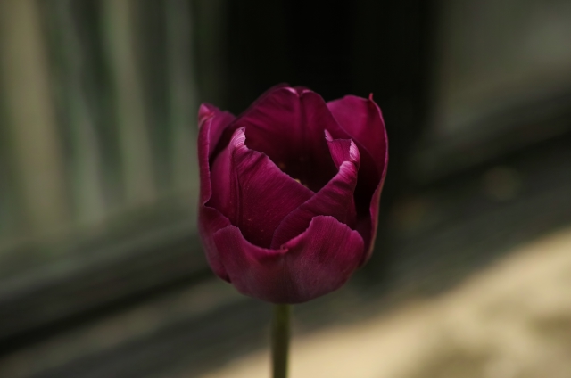 DP3M1144_dh.jpg